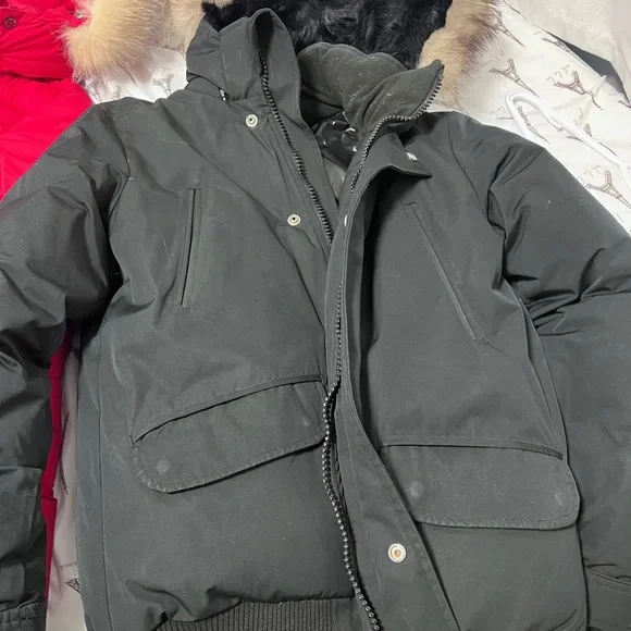 Canadian Wolf - Picture 2 of 3